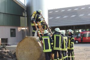 Keeken20062017 (55).JPG